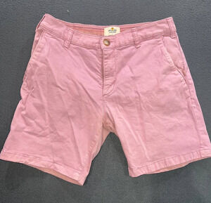 Marine Layer Pink/Purple Shorts